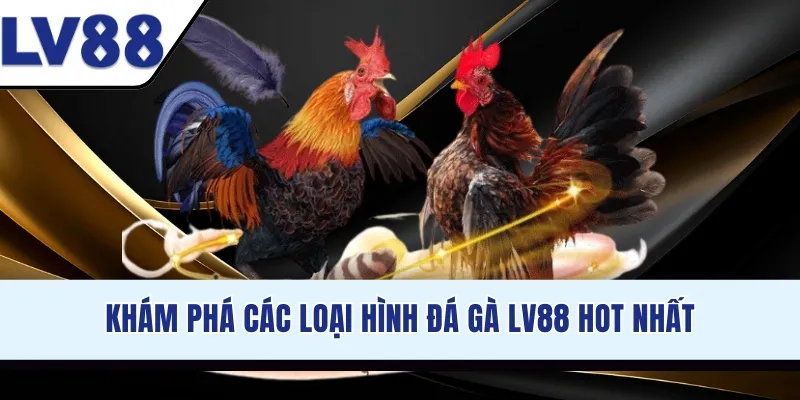 Khám phá các loại hình đá gà LV88 hot nhất